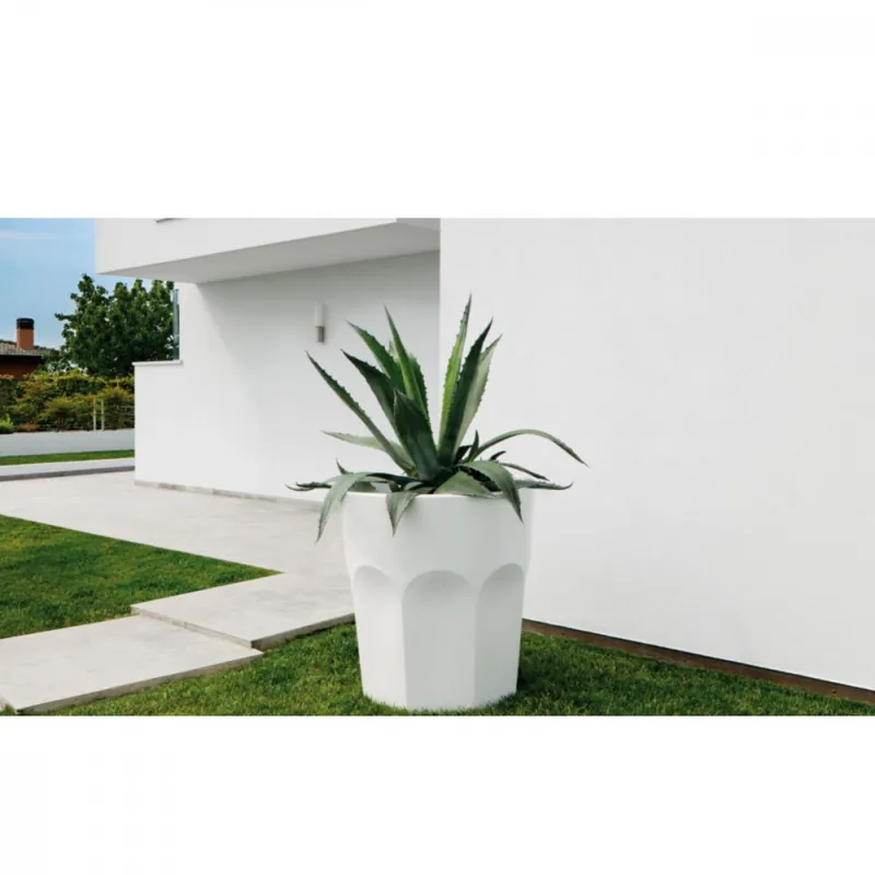 Bianco C2