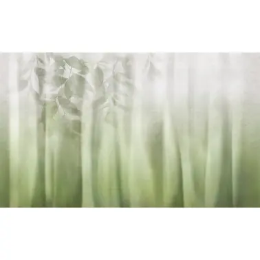 FLUTTER - C5701