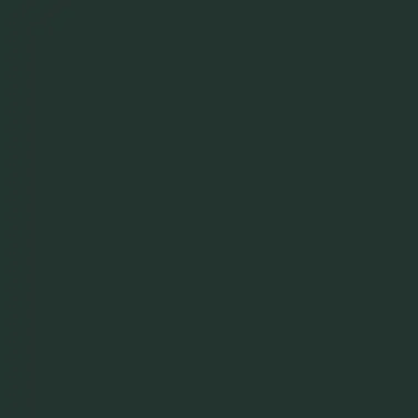 NF13 Deep Green