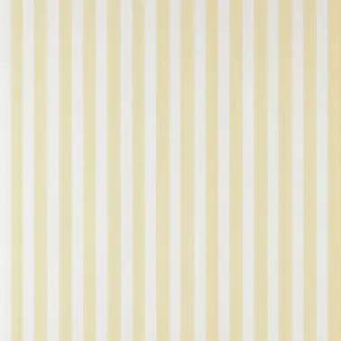 CLOSET STRIPE ST 356