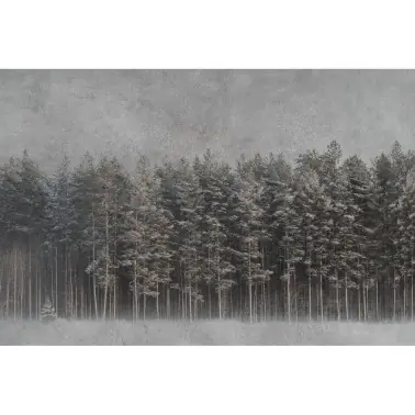 BLACK FOREST 01