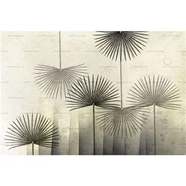 Clotilda 01
