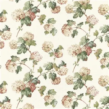 Sussex Hydrangea Soft Gold AF57848