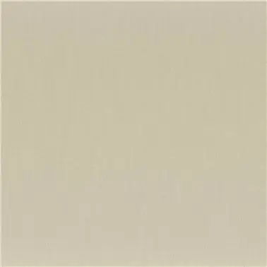 Anemone Vert de Gris 50112127