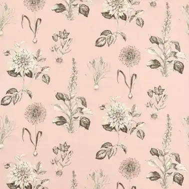 Roseraie Blush F1738-01