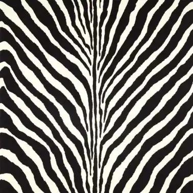 Bartlett Zebra Charcoal PRL5017-04