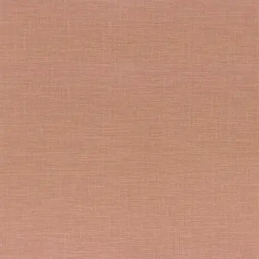 Shinok Peau de Peche 73819670