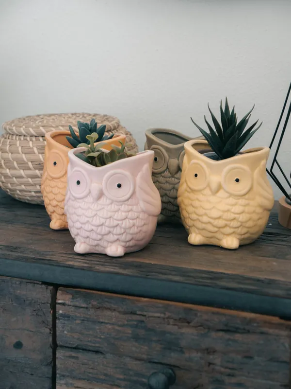 Set di 4 Vasi Gufo in Cemento – 4 Colori, Perfetti per Piante e Decorazioni