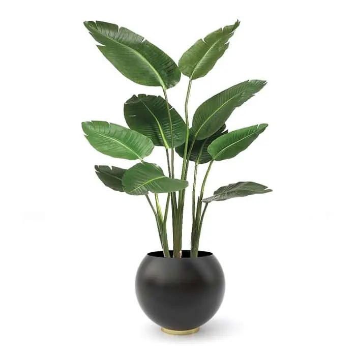 Vaso per fiori e piante Globe Black Ø 60 cm