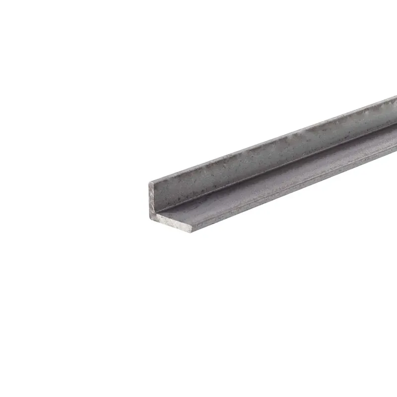 Profilo angolare 2 m 30x20 mm in ferro