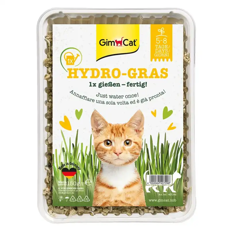 GimCat Erba per gatti Cat Grass 100g