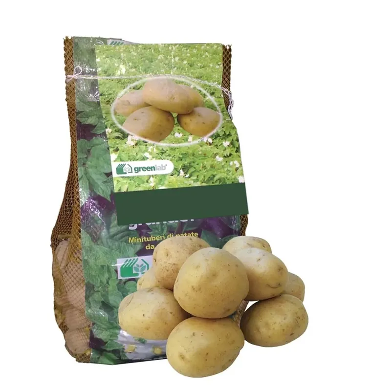 Sacco di patate Kennebec 1,5 kg