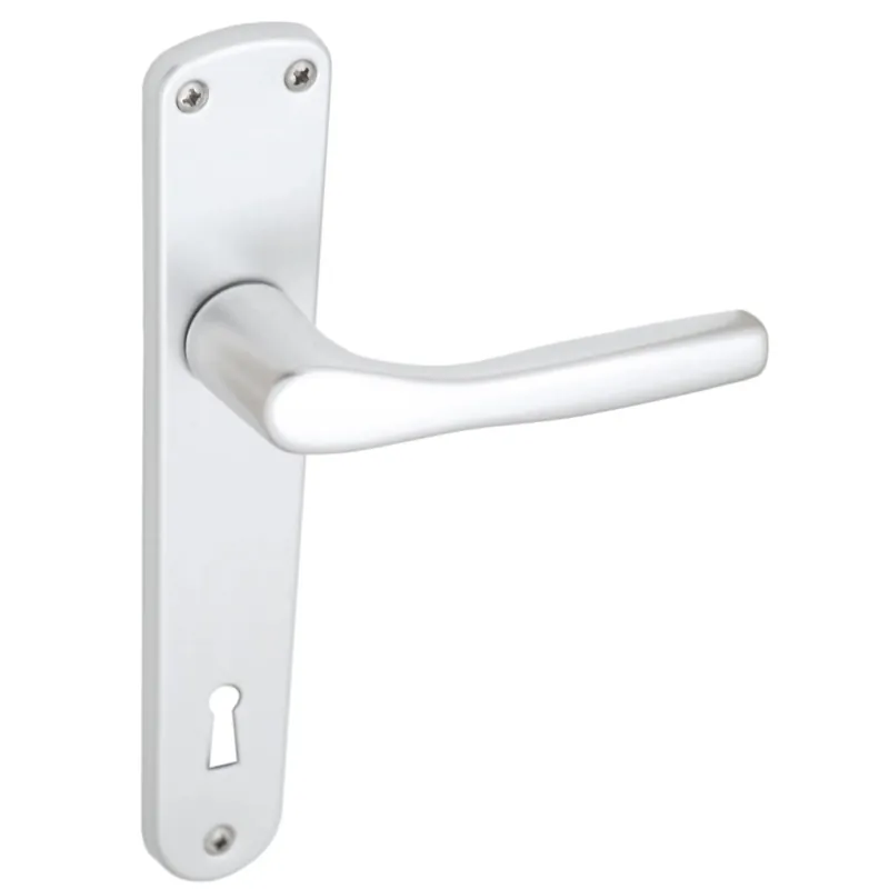 Maniglia alluminio con placca foro patent argento