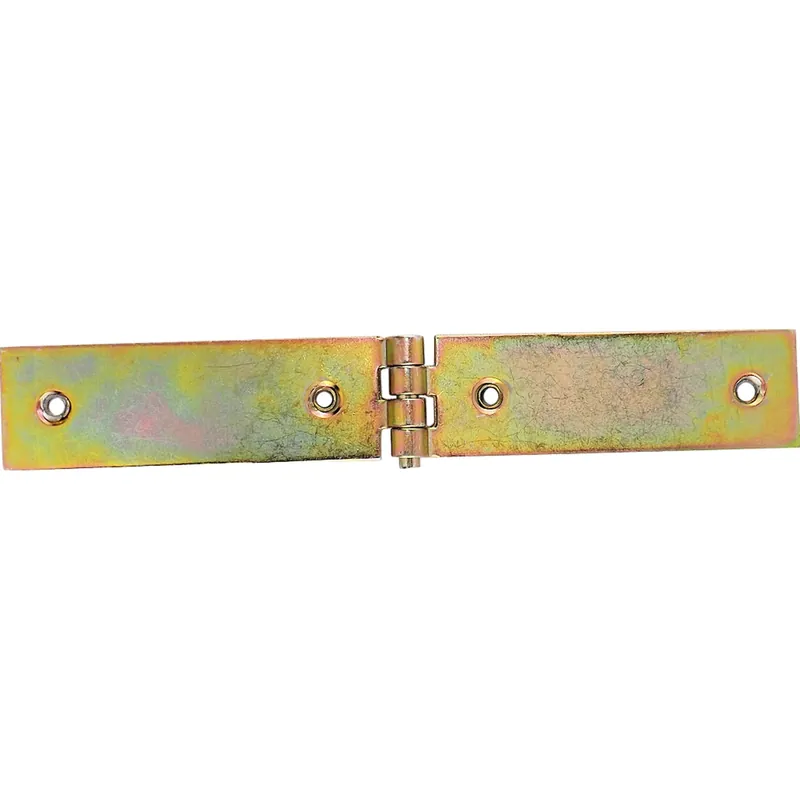 Cerniera ad asetta in acciaio tropicalizzato 240 mm x 36 mm