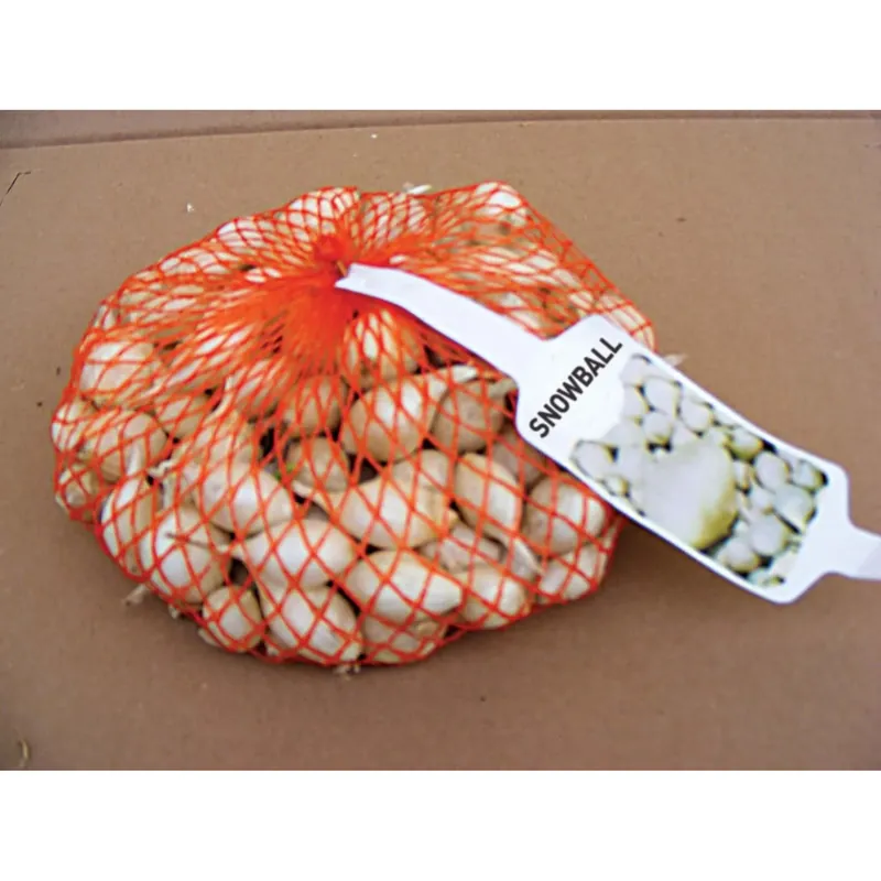 Bulbo cipolla bianca 500 g