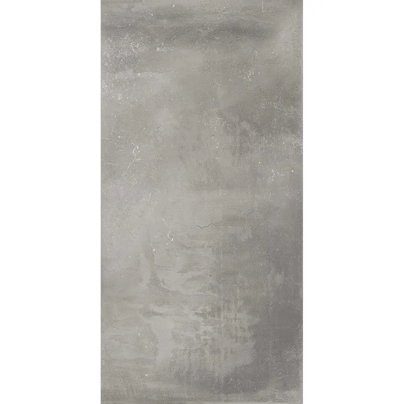 Piastrella in gres porcellanato Basic Development grigia 31x62 cm 1,35 m²