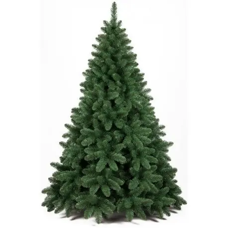 Albero verde Pirenei