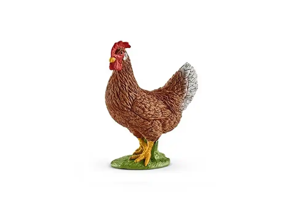 Gallina