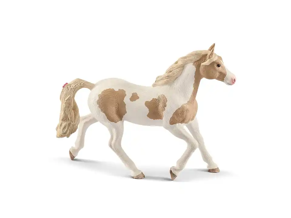 Giumenta paint horse