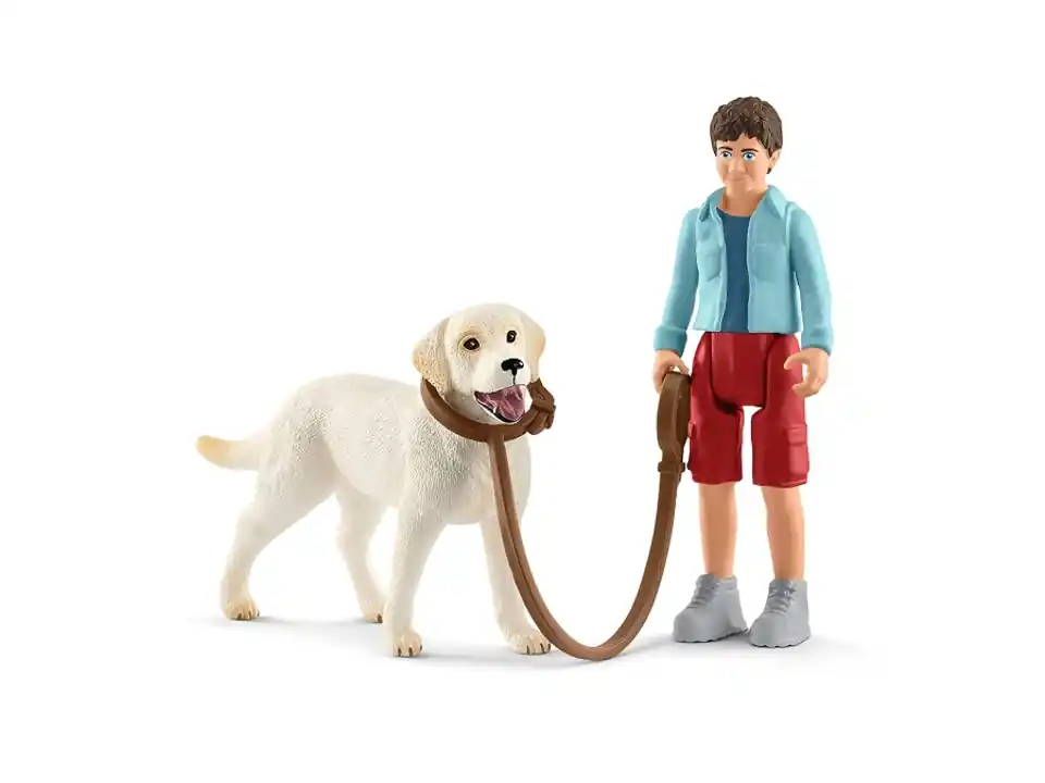 A spasso con il labrador retriever