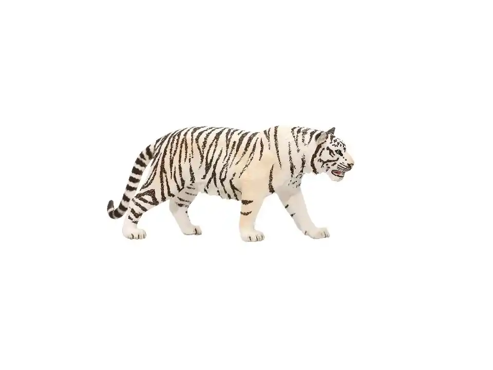 Tigre bianca