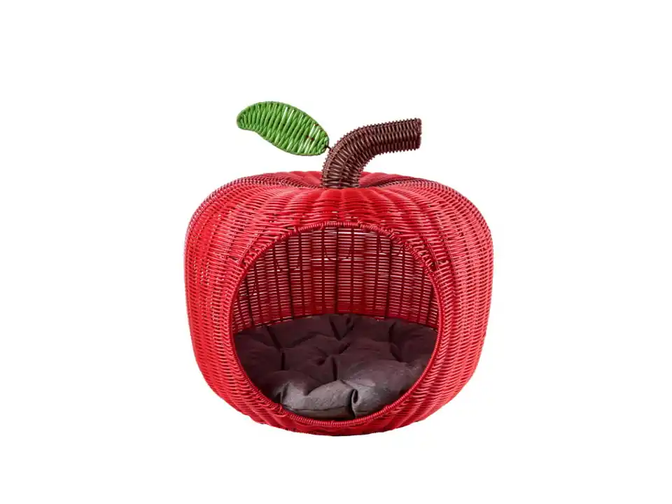 Cuccia, mela rossa