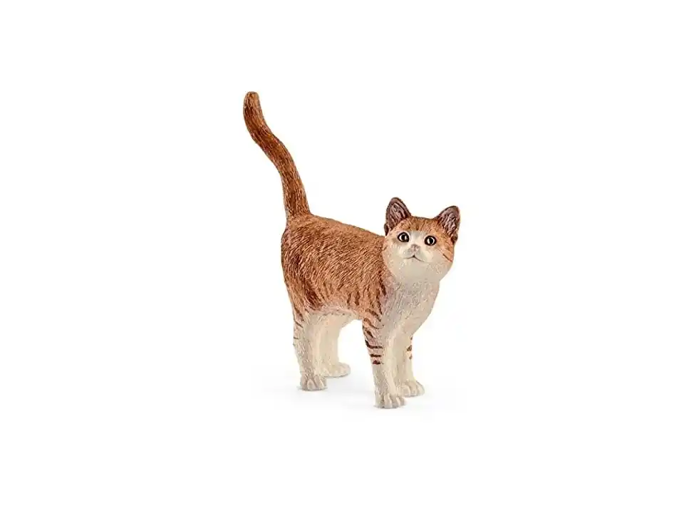 Gatto