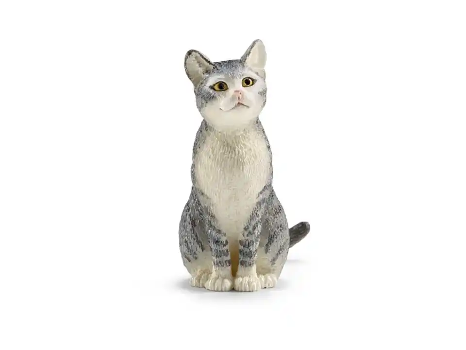 Gatto seduto