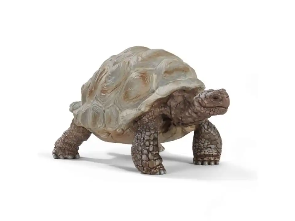 Tartaruga gigante