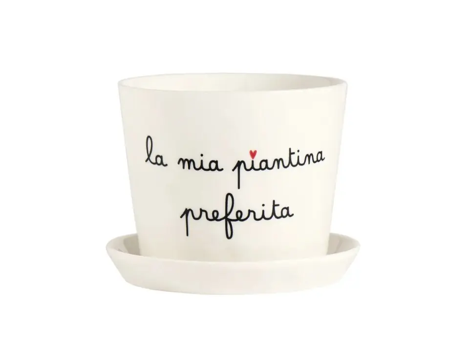 Vaso la mia piantina preferita con sottovaso
