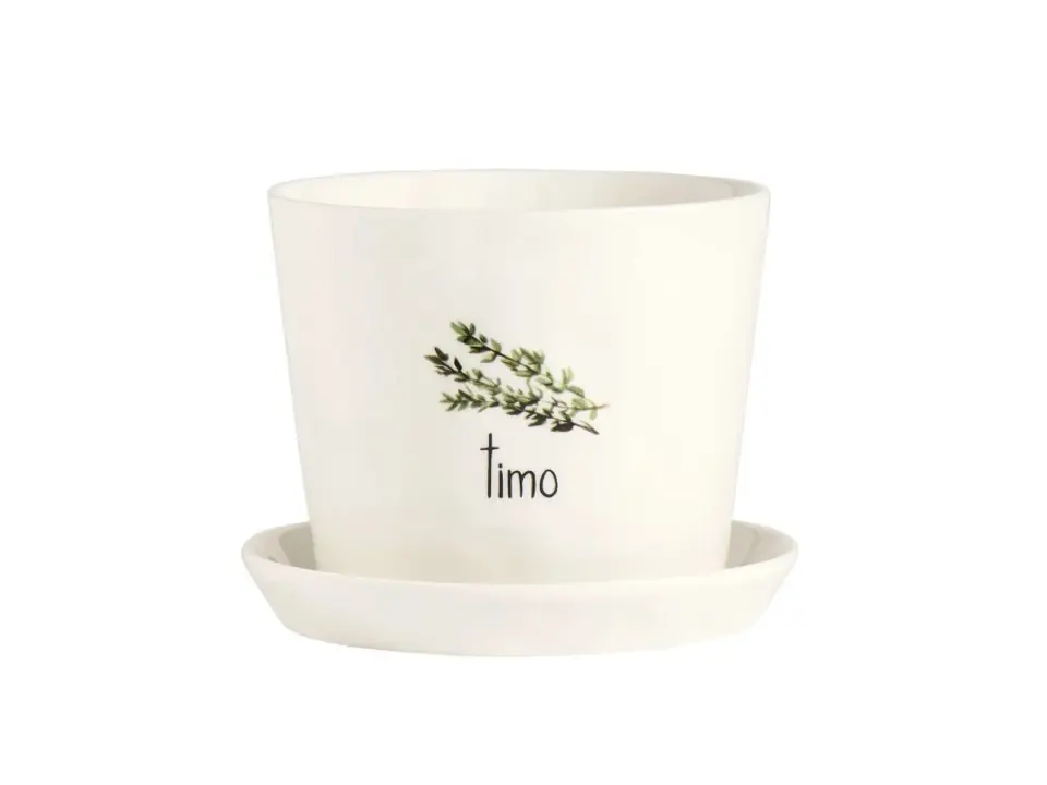 Vaso timo con sottovaso