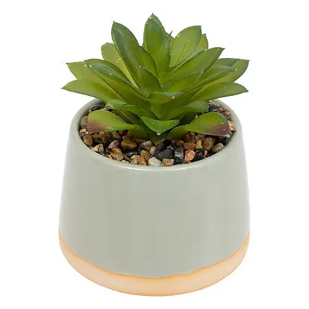 Pianta Be vintage 8,5x8,5x12 cm ceramica